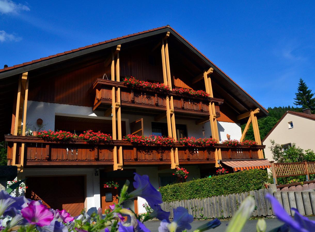 Pension Mausbachtal Warmensteinach Extérieur photo