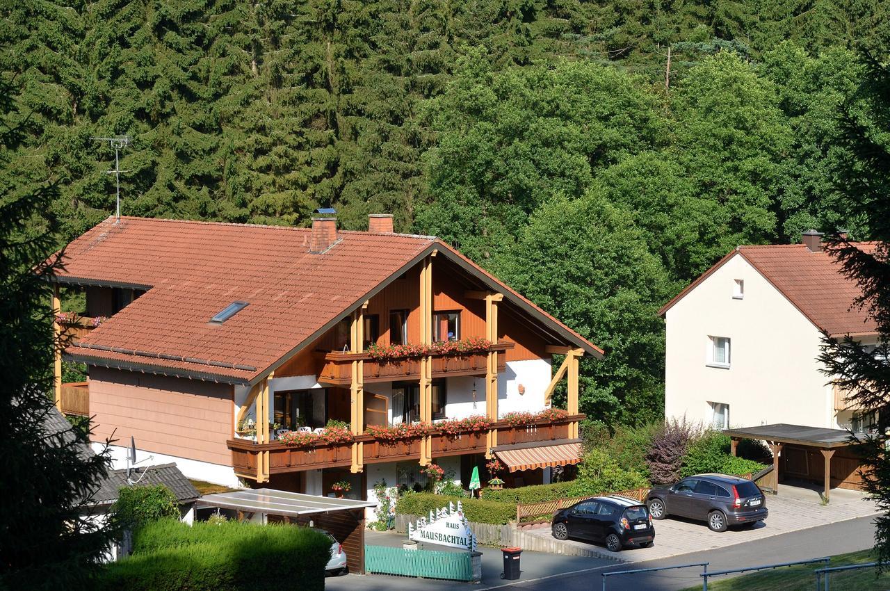 Pension Mausbachtal Warmensteinach Extérieur photo